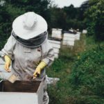 Apiculture - Déclaration de ruches 2022