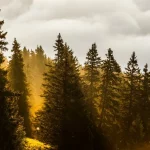 Course d'orientation solidaire : 6 octobre au Lac Genin