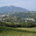 Visites commentées -  Thématique nature