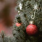 VENTE DE SAPINS PAR LE SOU DES ECOLES🎄