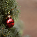 VENTE DE SAPINS PAR LE SOU DES ECOLES🎄